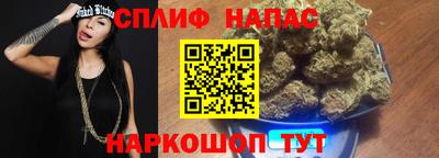 стаф Котовск