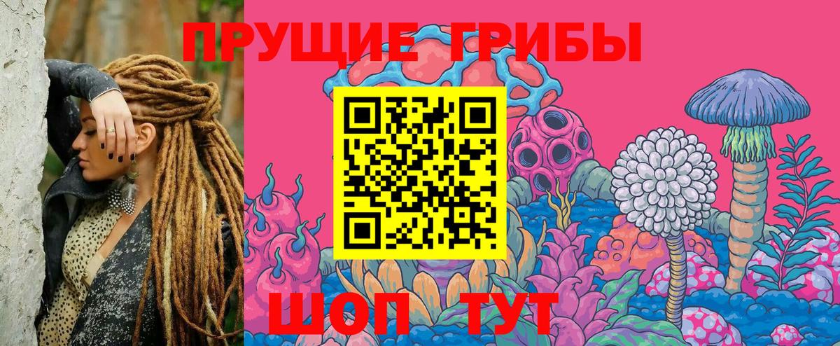 Псилоцибиновые грибы Psilocybine cubensis Большой Камень