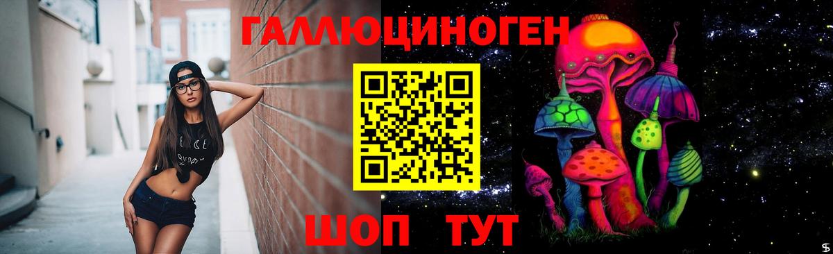 Галлюциногенные грибы ЛСД  Вход с VPN  Большой Камень 